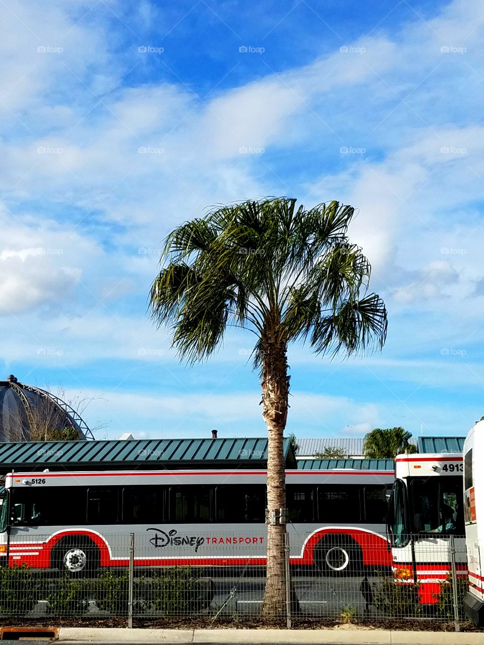 Blue sky over Disney Springs