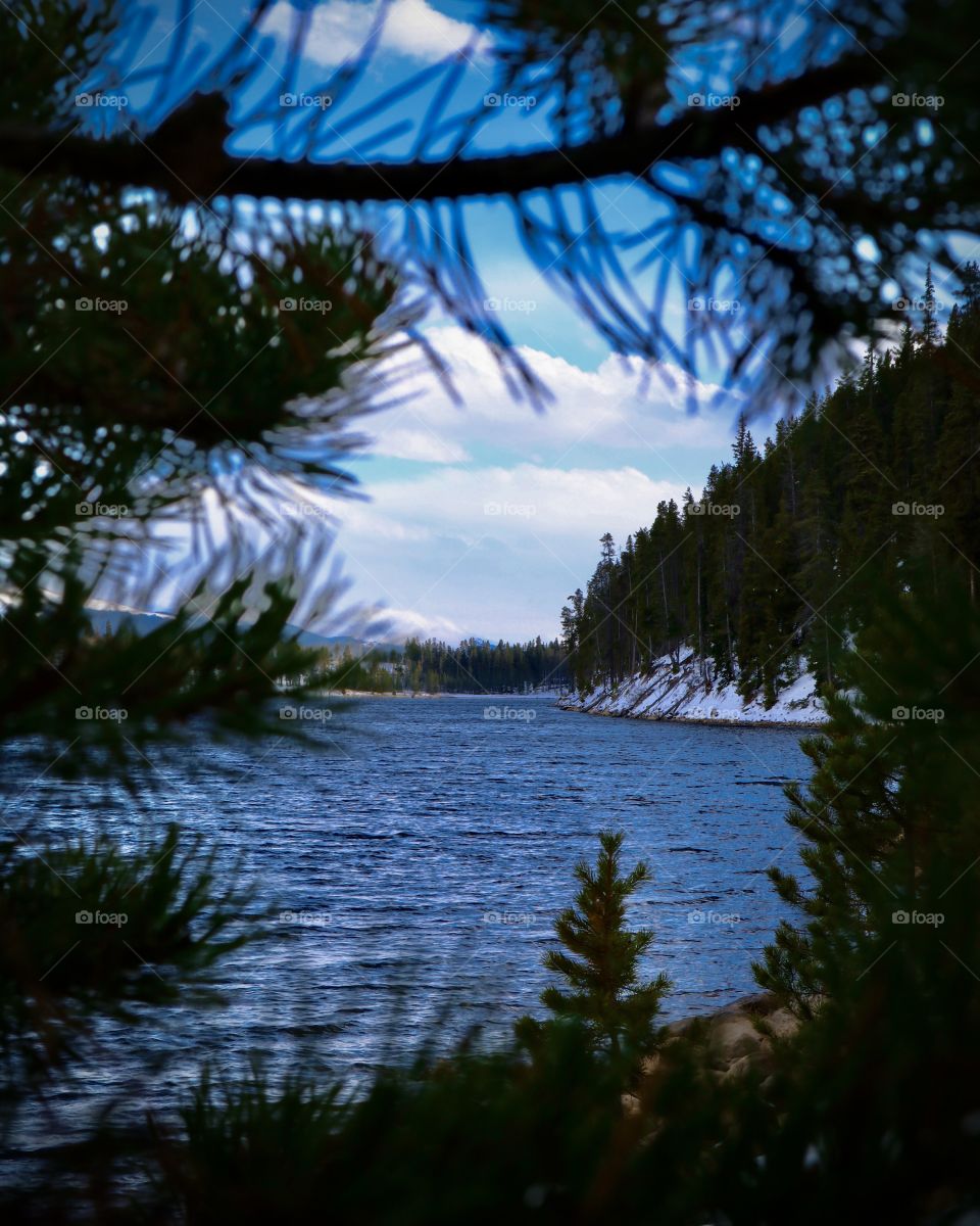 Peaking through the pinetrees over the lake and mountains beyond.