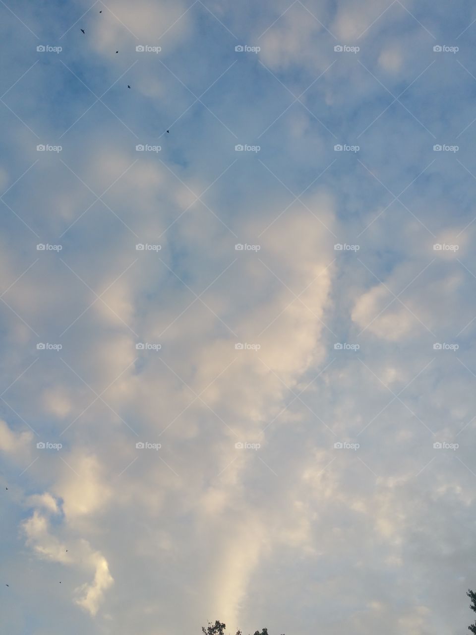 Sky, No Person, Nature, Outdoors, Summer
