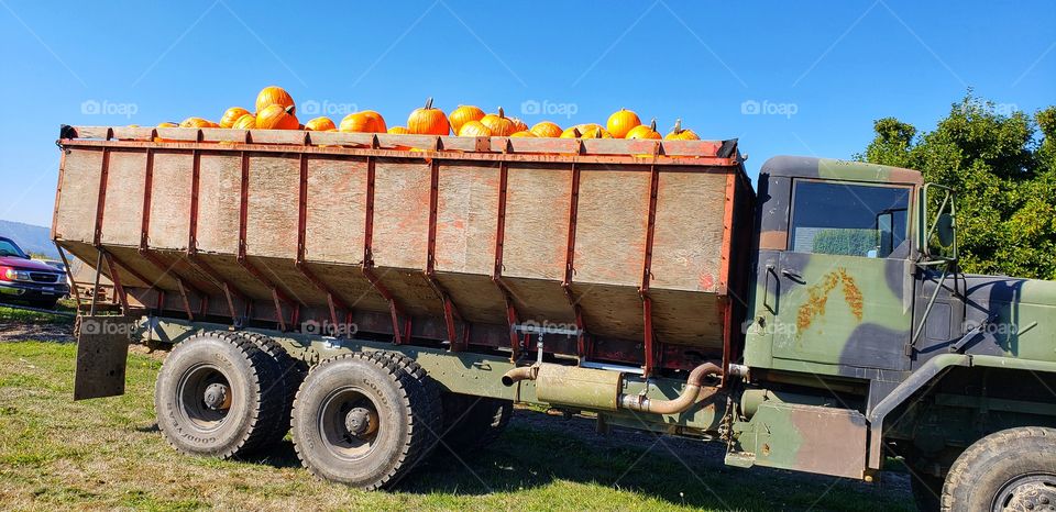 truckload of pumpkins