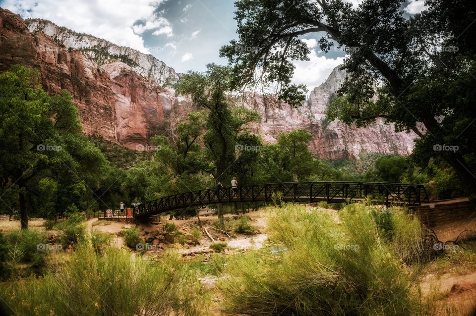 Zion park, Utah, USA