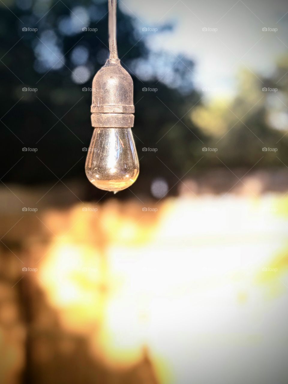 Seek out the light and turn on the imagination.