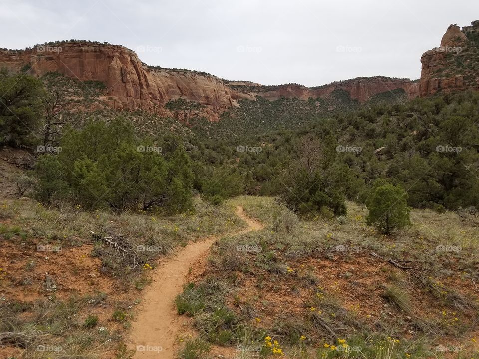 A trail winding through a canyon at Colorado National Monument.
