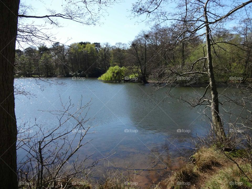 lake in the park