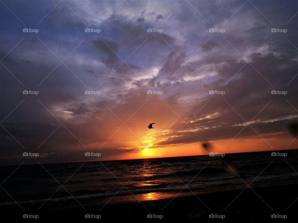 Rain or shine the beauty is there.