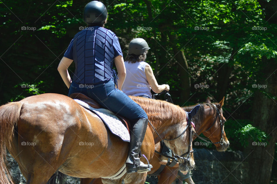 Horseback Riding