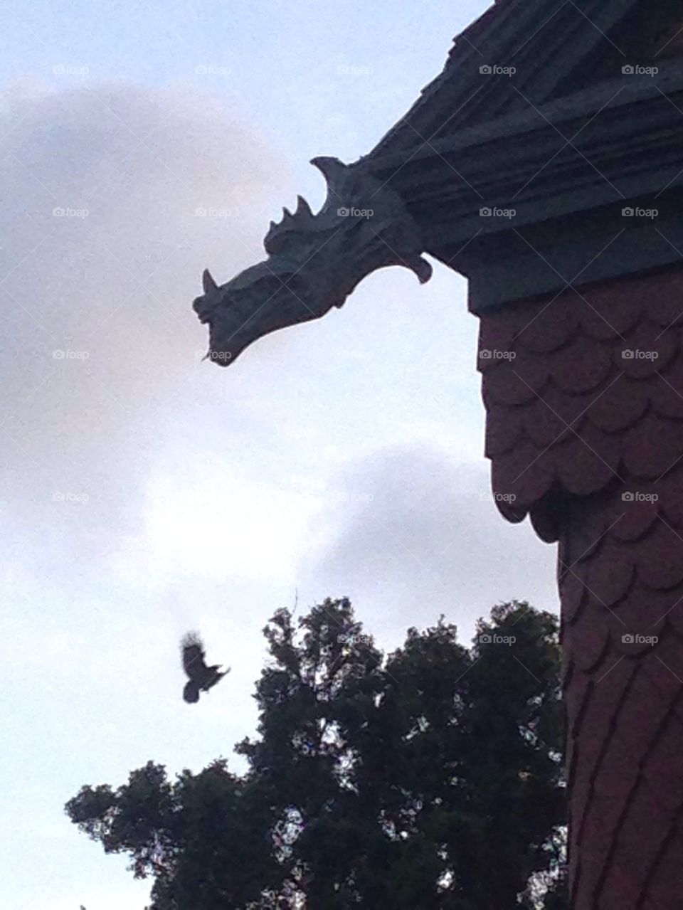 Haunted House with Crow Landing