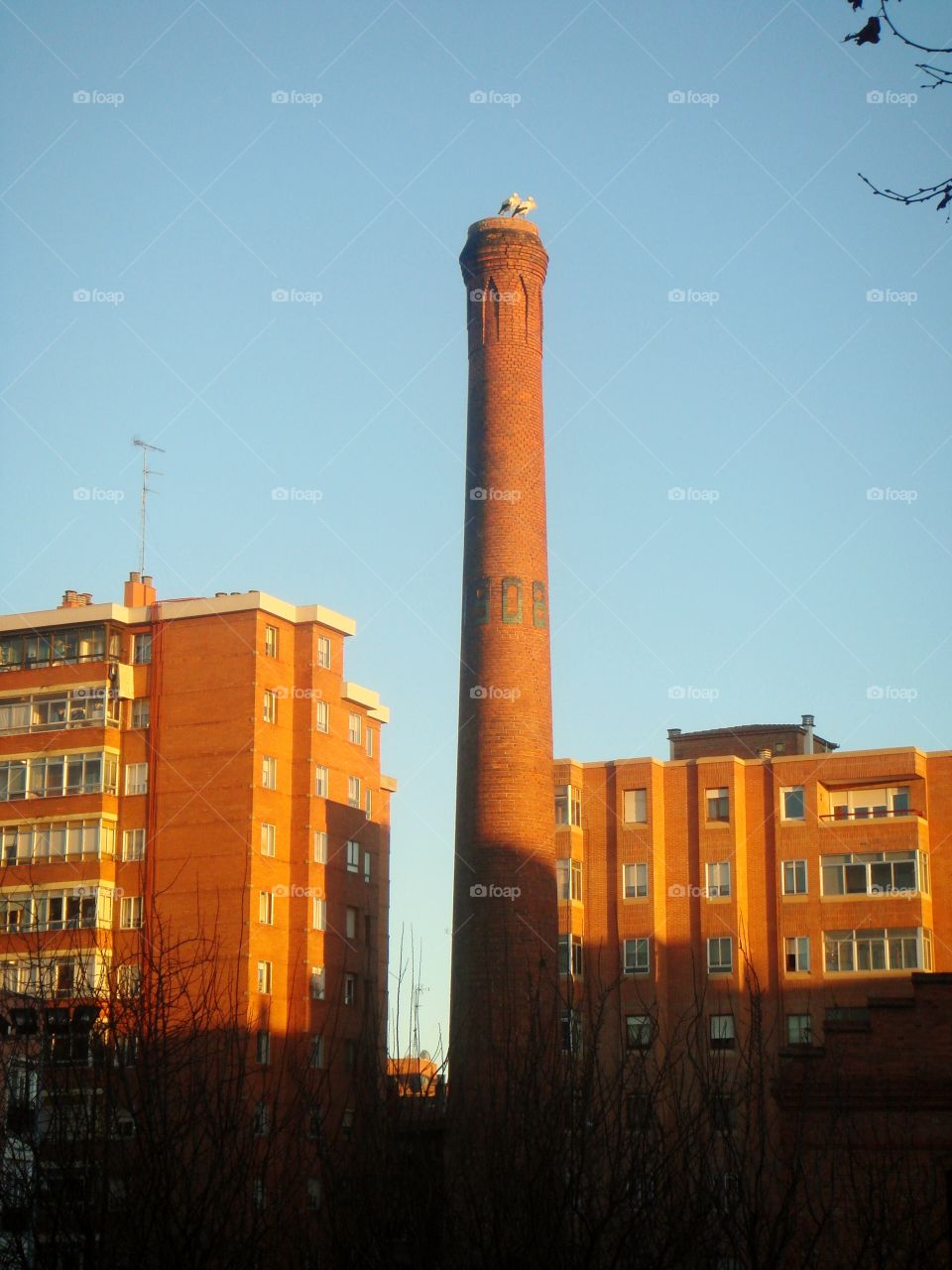one big chimney with two storks and buildings