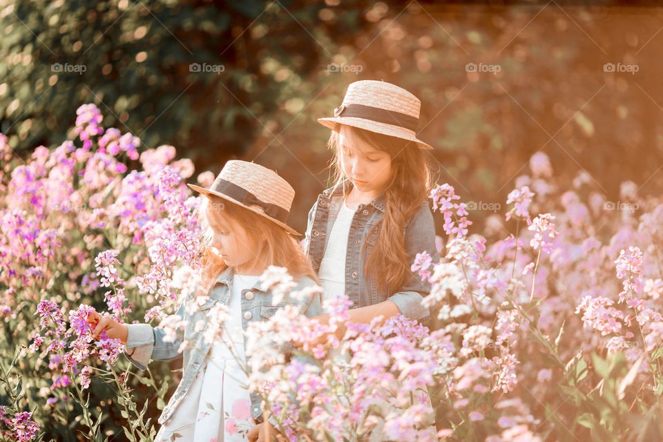 Little sisters in a blossom meadow at sunset 