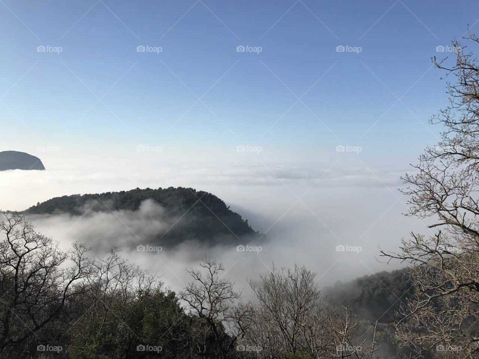 fog in mountain