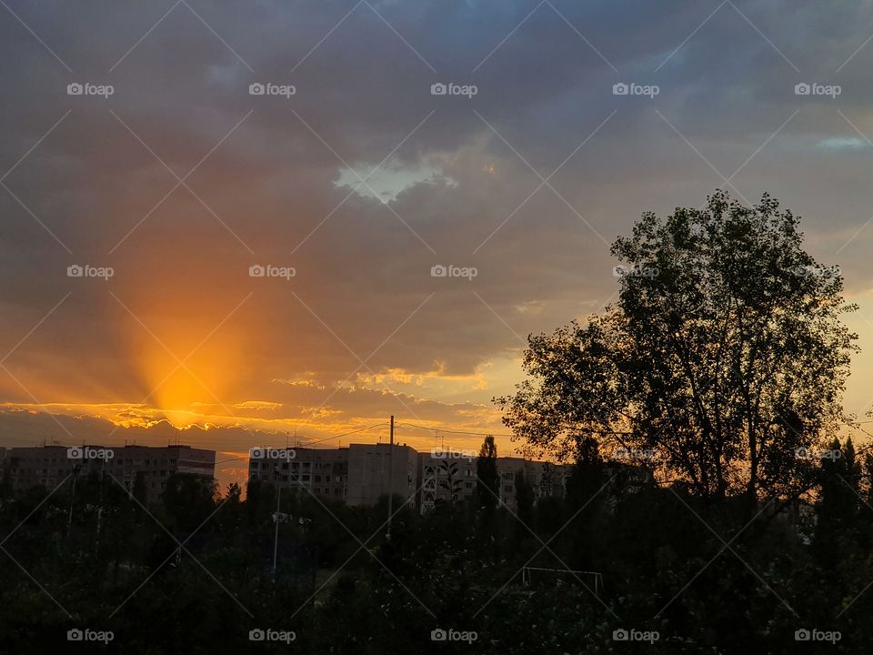 golden sunset in the city