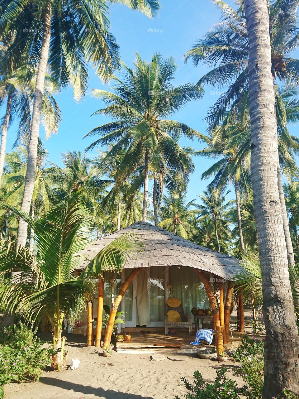 coconut beach cottage
