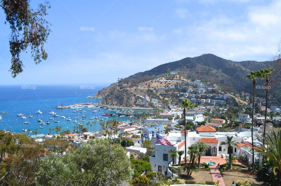 Mediterranean feels of Avalon harbor is Santa Catalina Island, California