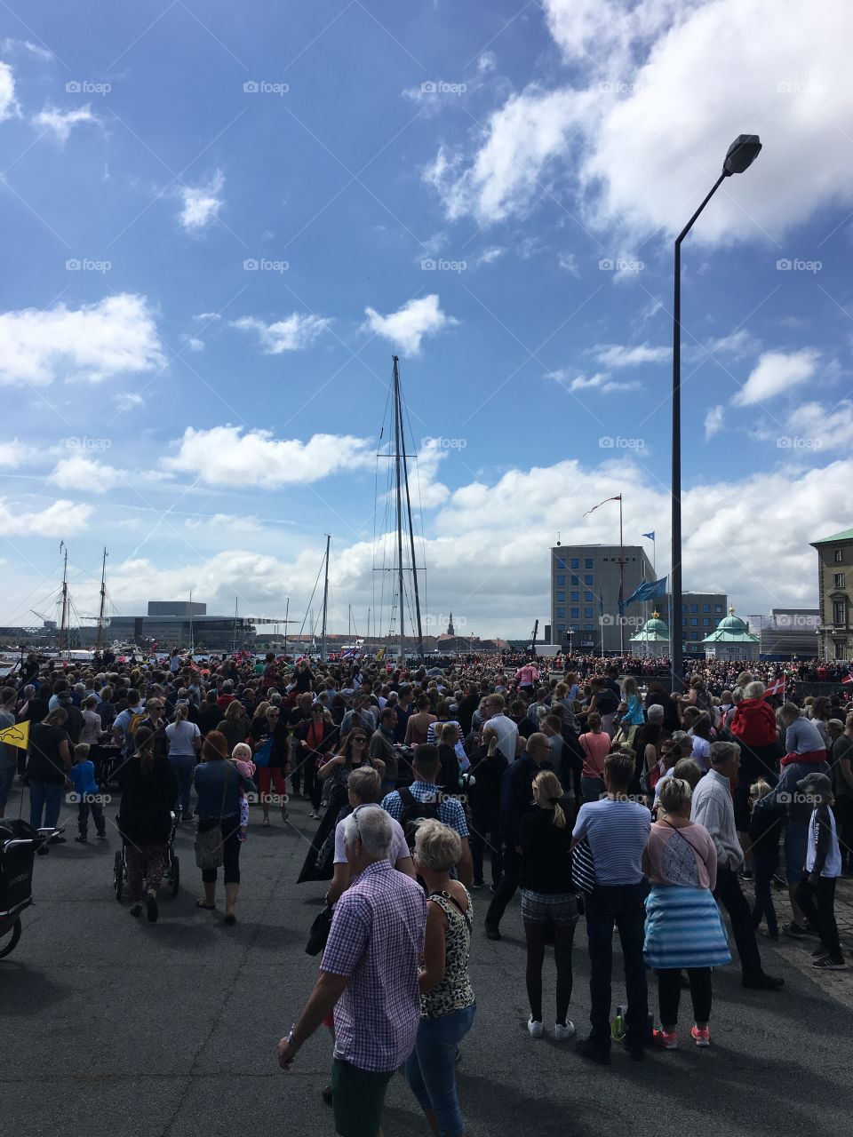 Crowded harbor 