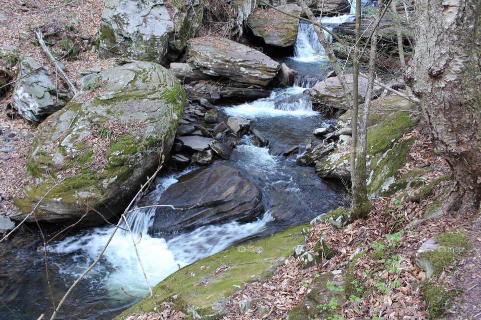 Rapids cascading around mossy boulders