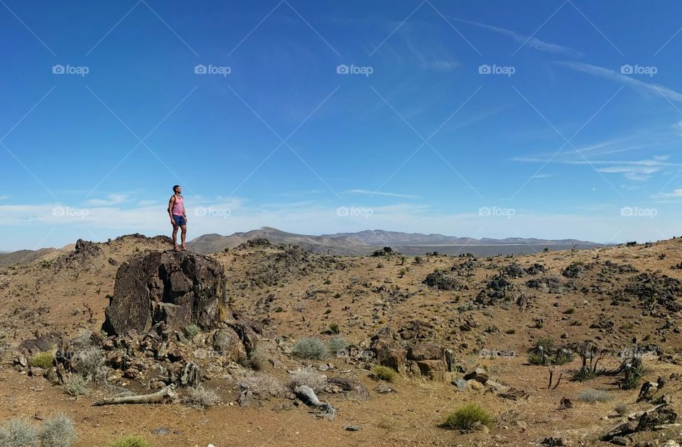 The Wanderer of the Desert