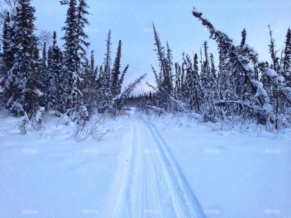 Yellowknife trail ride 