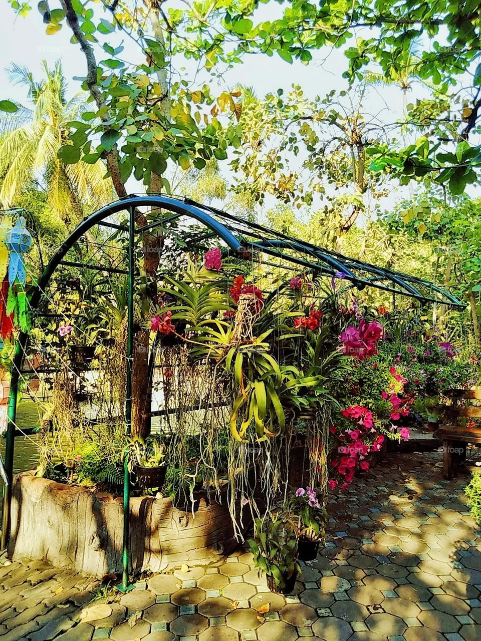 Flower garden inside a Thai temple.