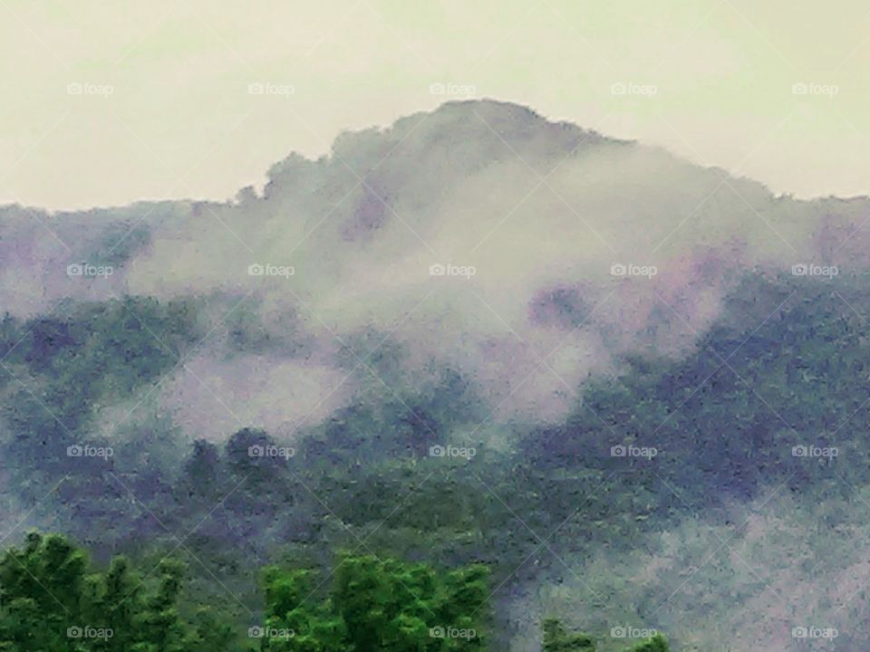 Fog  Mountain