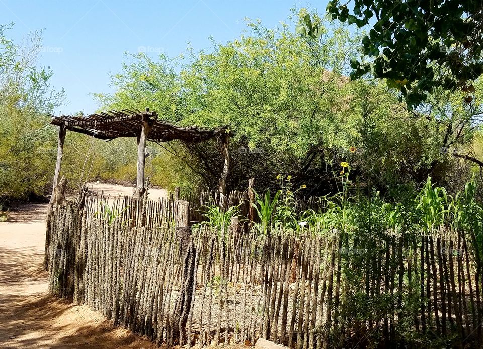 Native American fenced garden structure