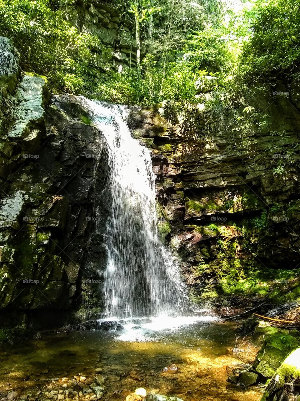 Waterfalls in the woods