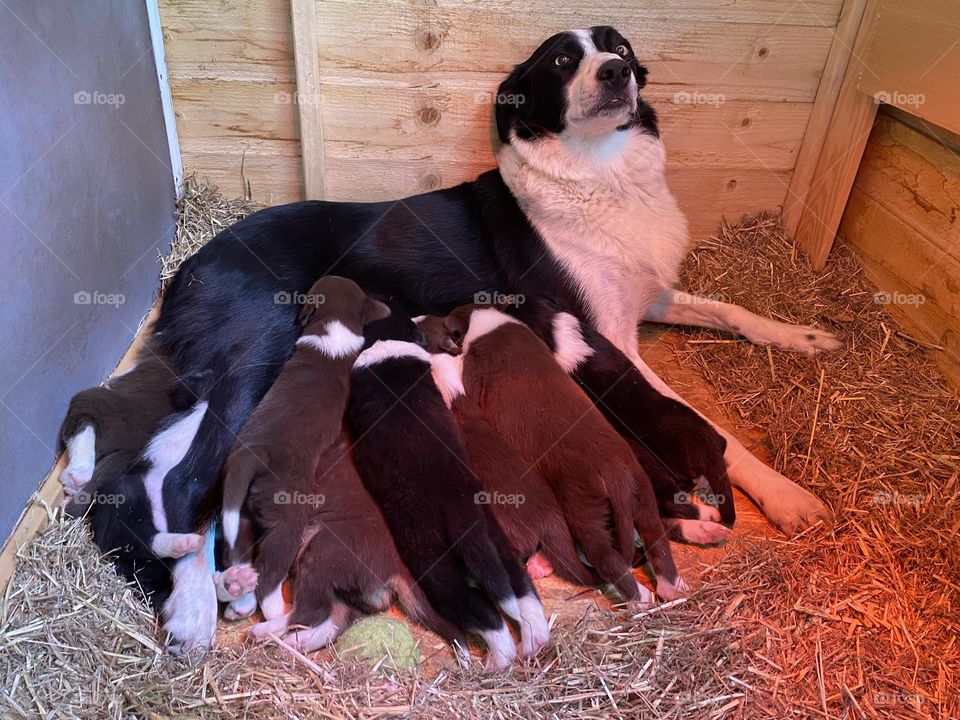 Proud mum
