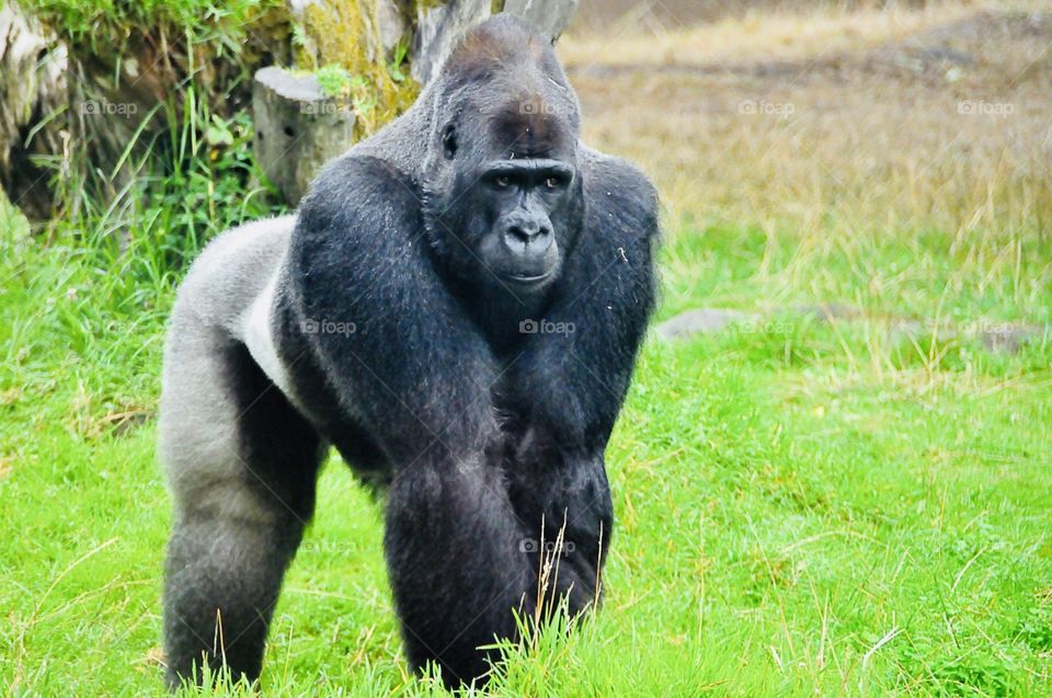 I'm here to protect you, honey 