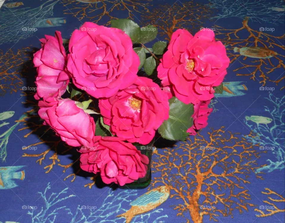 Pink May roses on a blue sea-themed tablecloth