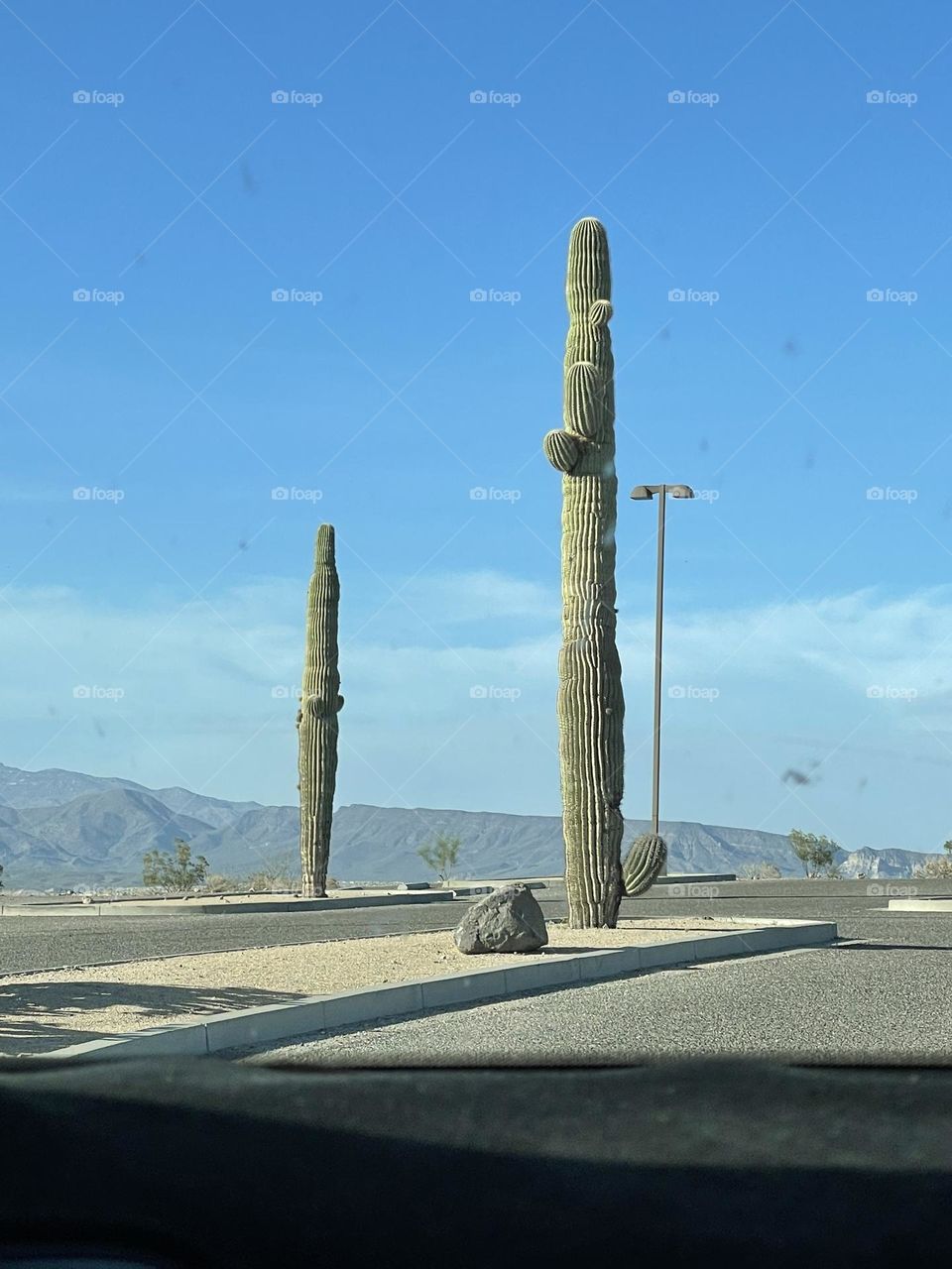 Simply magmatic desert View 