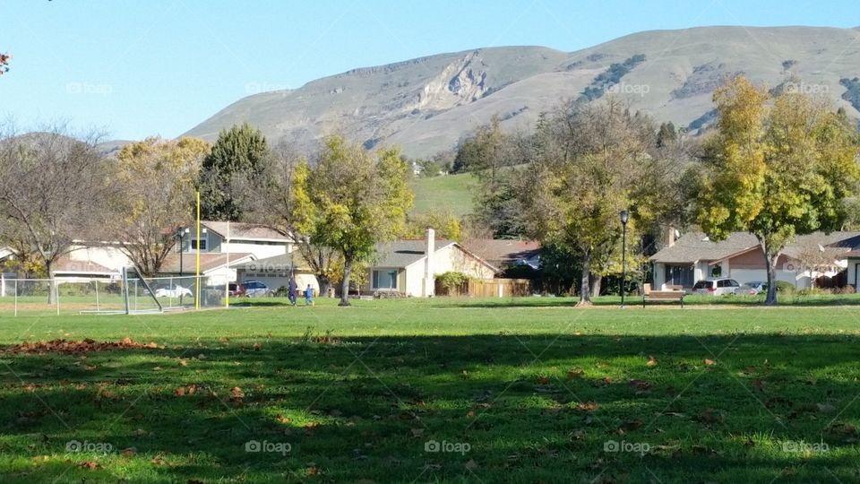 Houses grass hill