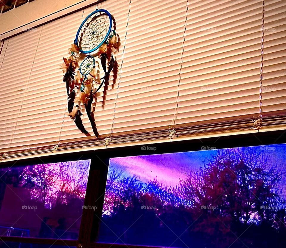 One native cloudy night