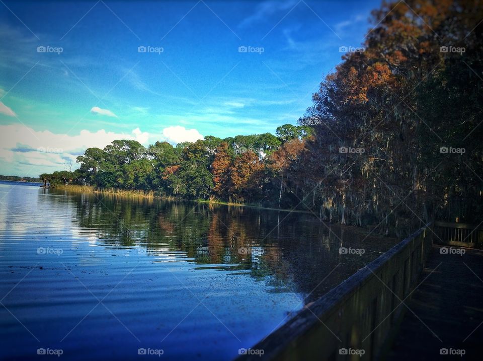 Spending a quiet time at the lake...