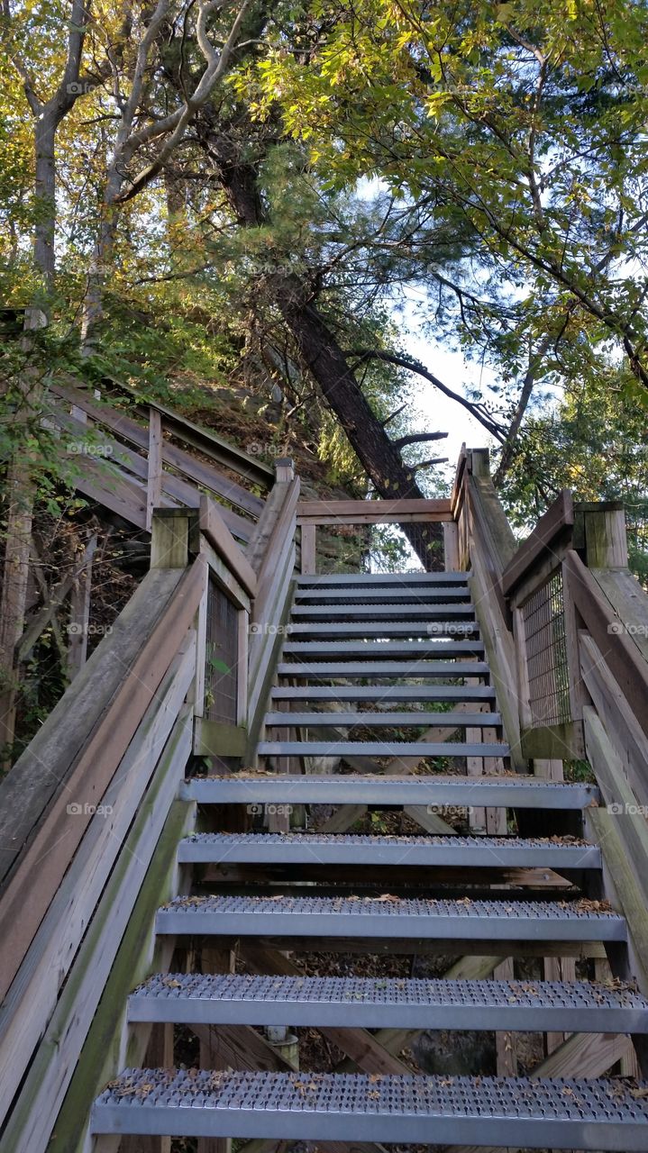 taking a walk through the state Park and wondering where exactly this staircase leads to my point of view it leads to heaven