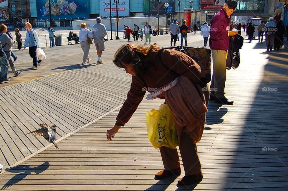 Feeding a bird