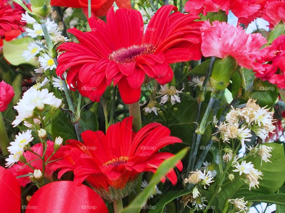 Red flower bouquet