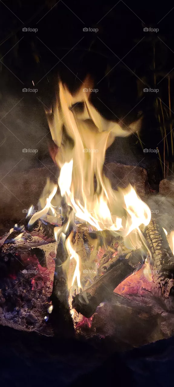 bonfire