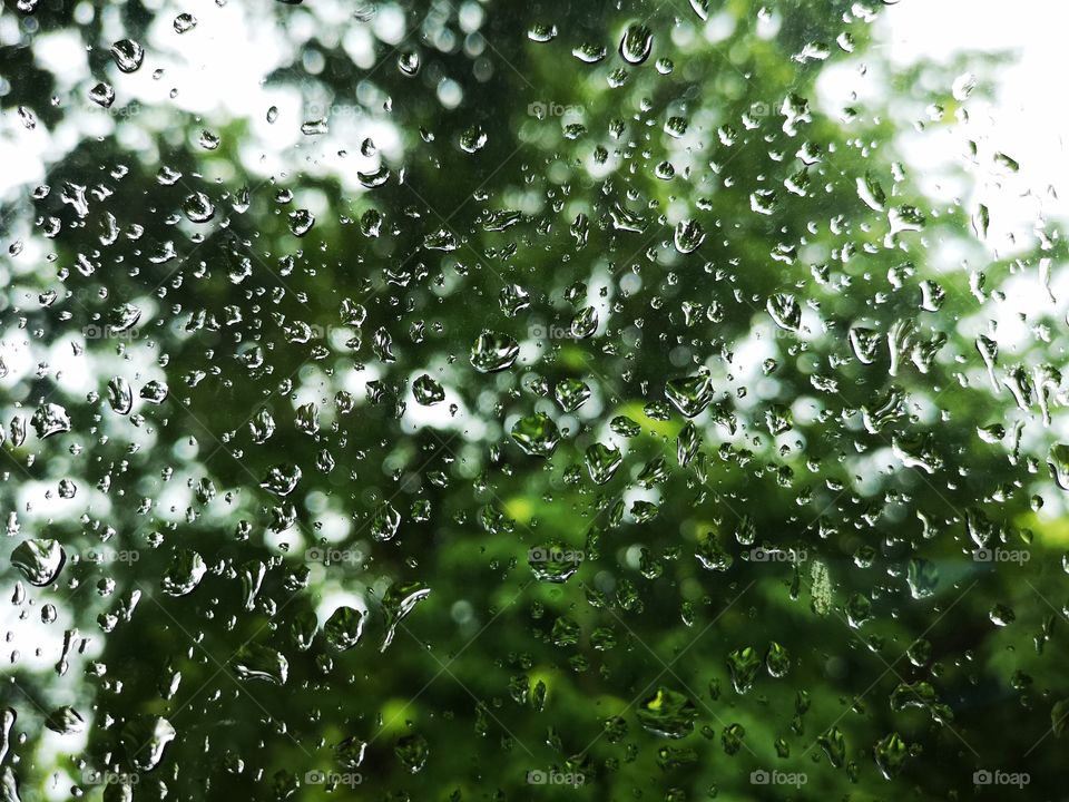 Raindrops on a car glass, Rainy season abstract background. Background drops of water on glass with green from tree.