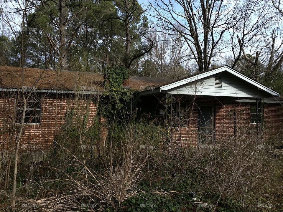 She’s A Brick House 2