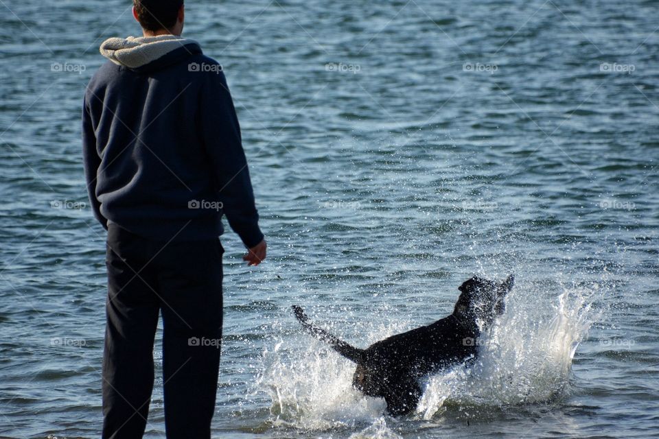 Playing fetch in the water