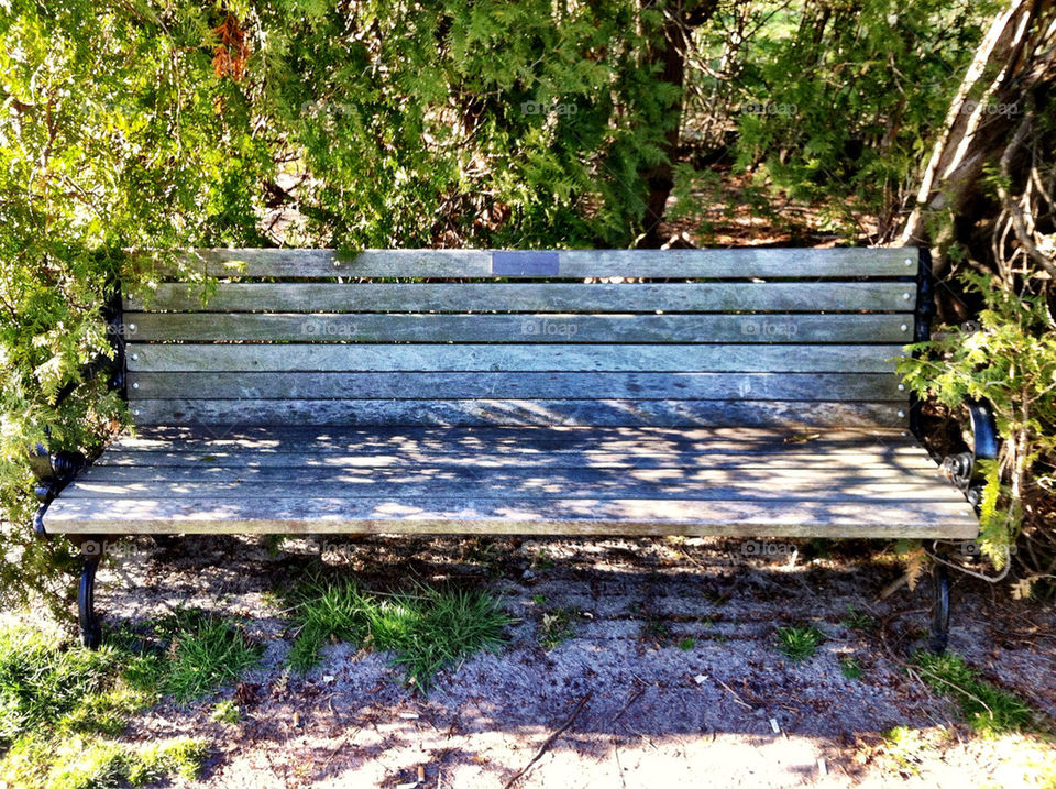 the place bench be by spindola