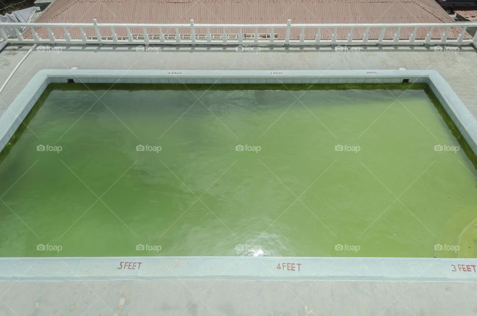 Untreated Pool Water