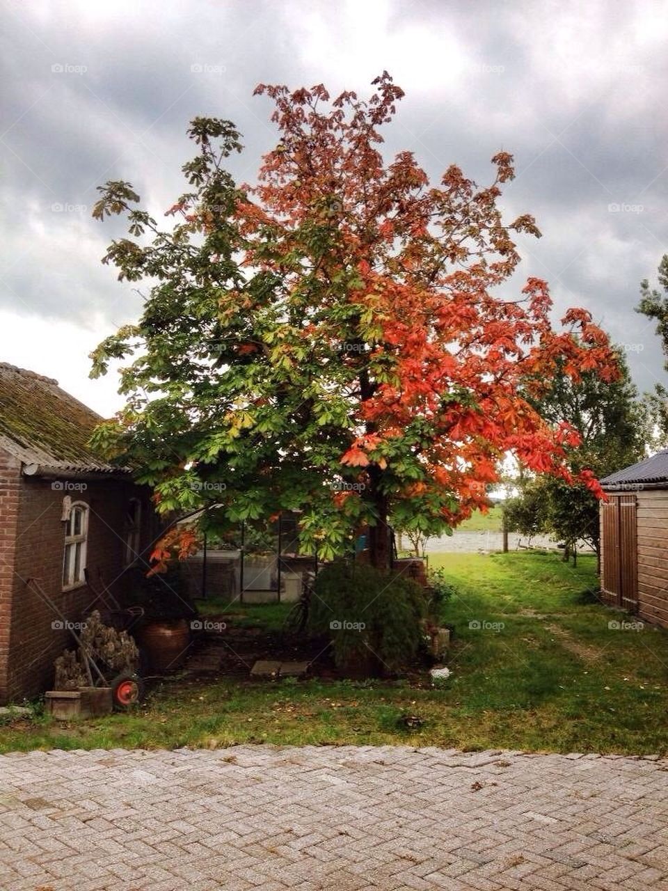 Autisme is halfway there