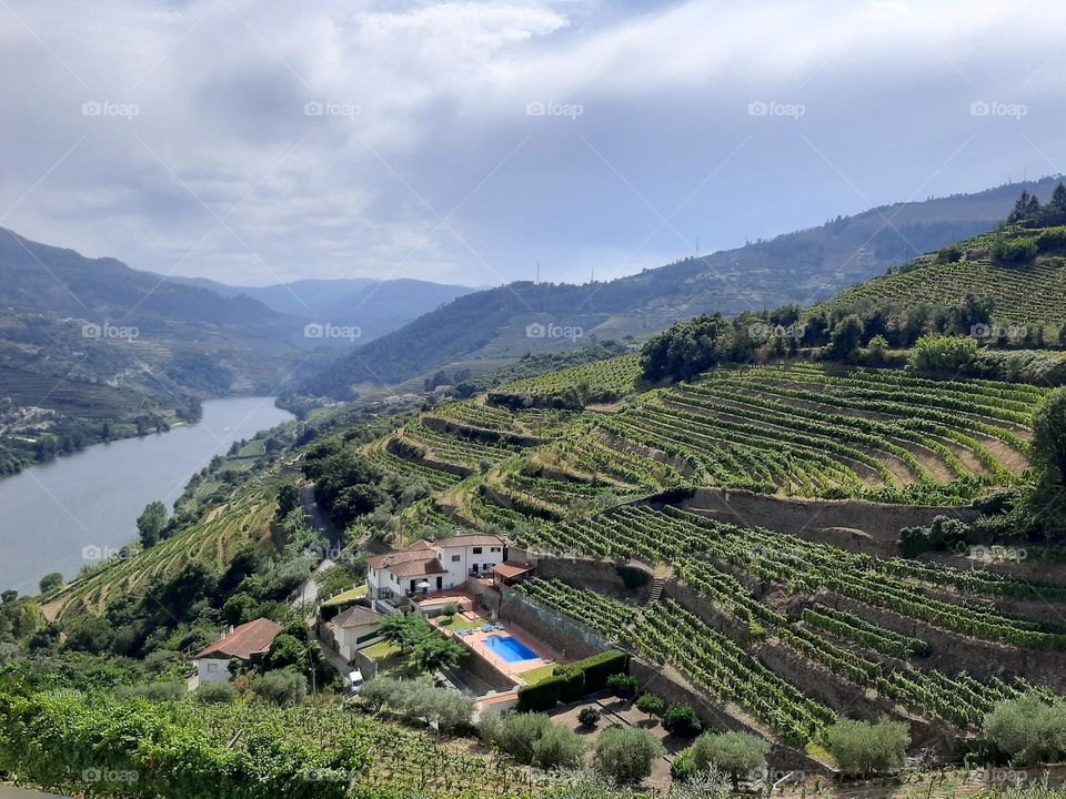 Hiking on top of the world