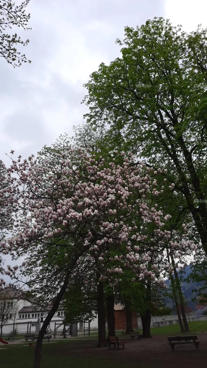 Park Natur 