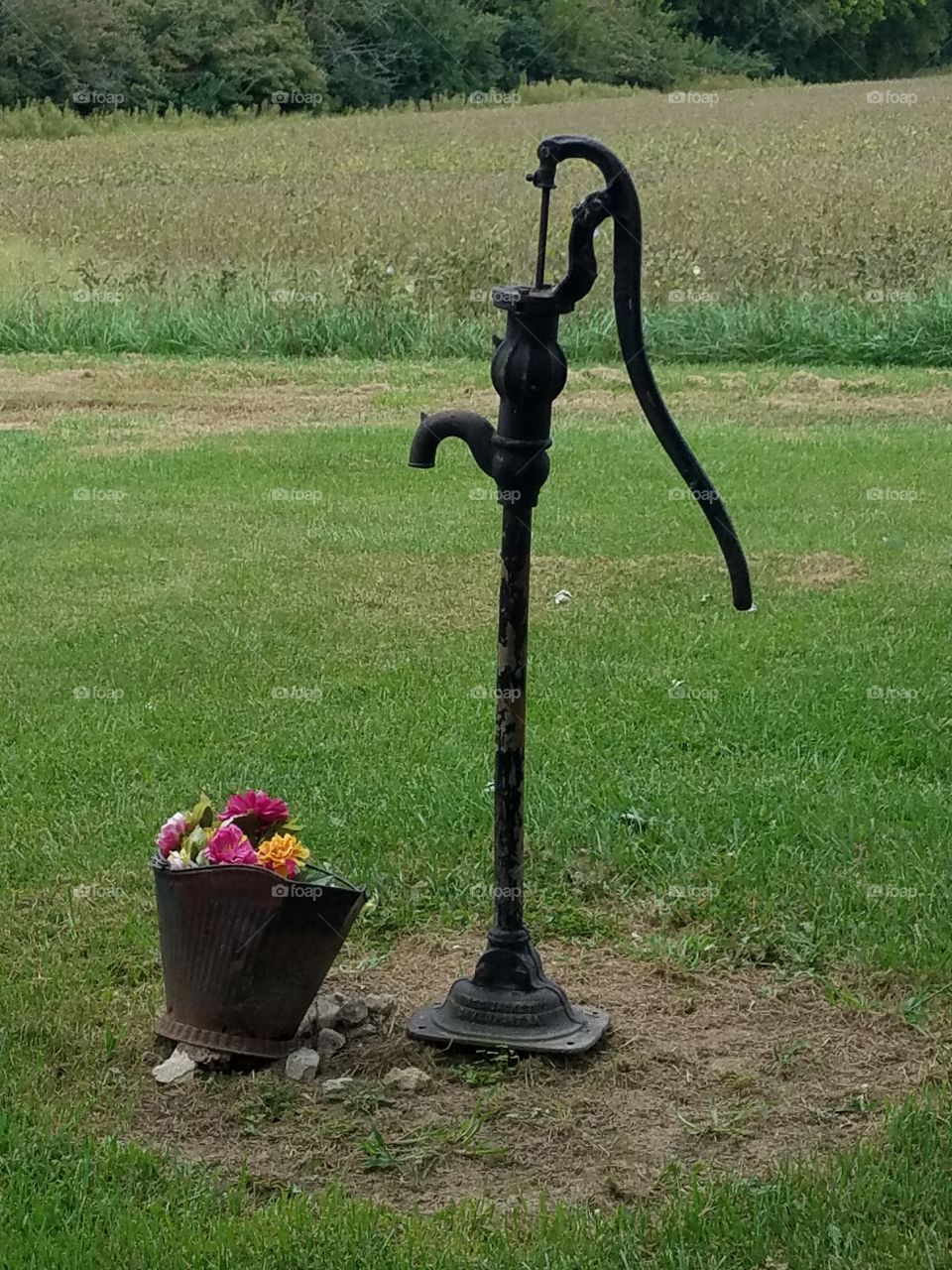old well water pump in the country