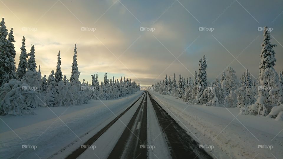 Arctic winter road