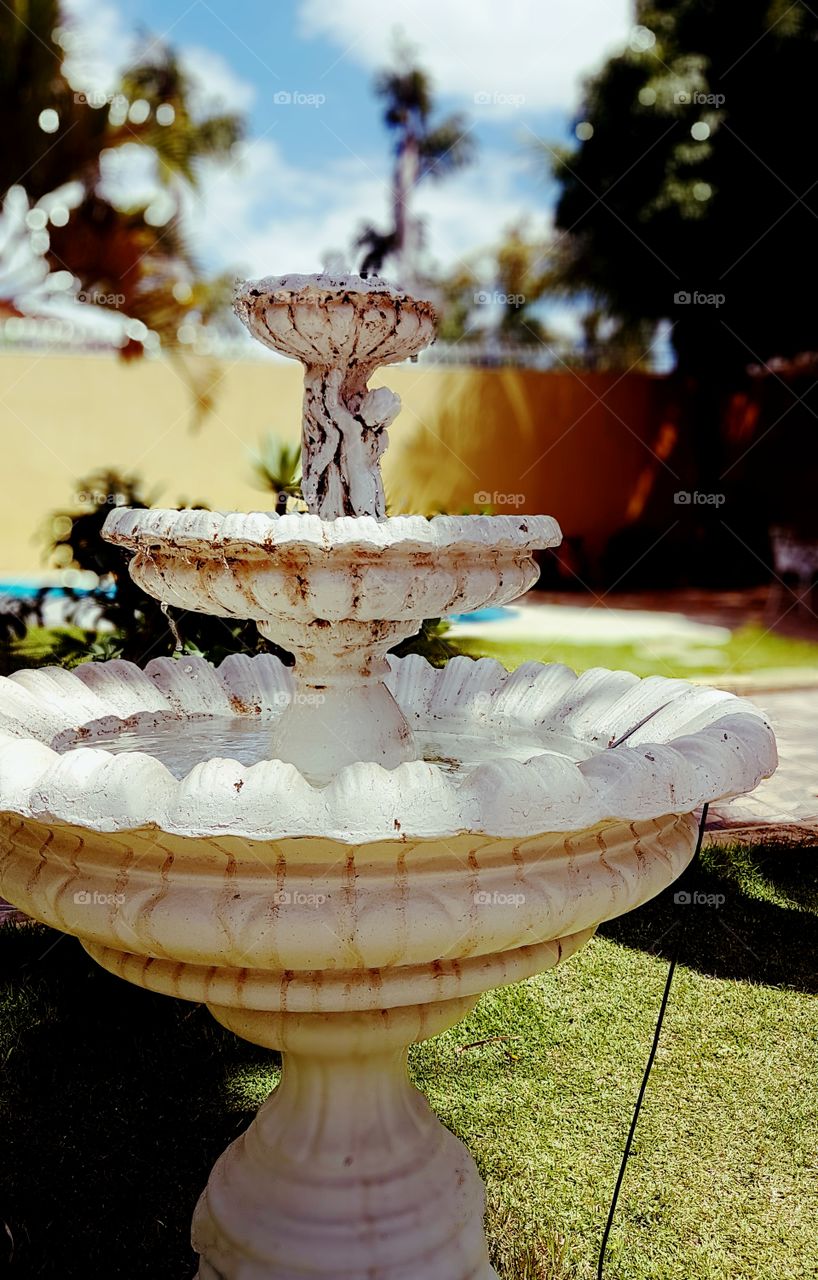 Fountain