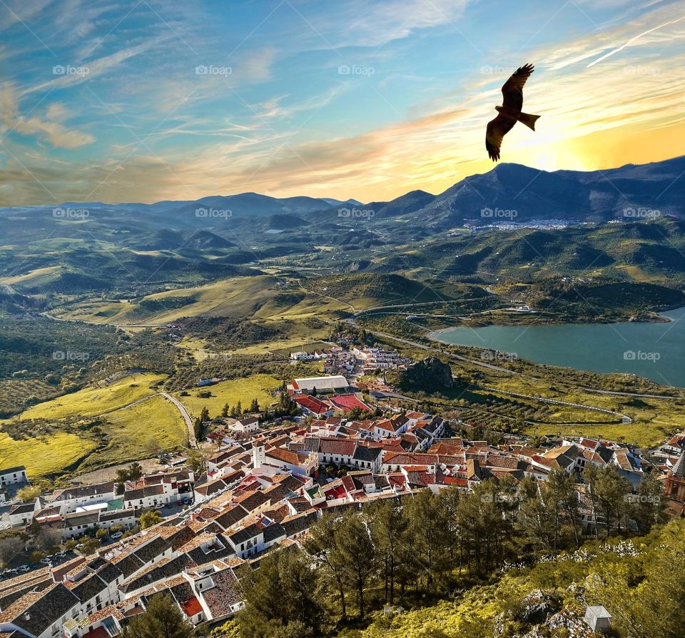 Eagle flying against sunset over little town in the mountains