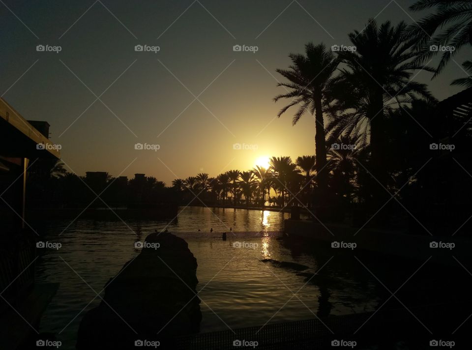 Sunset, Water, Beach, Silhouette, Backlit