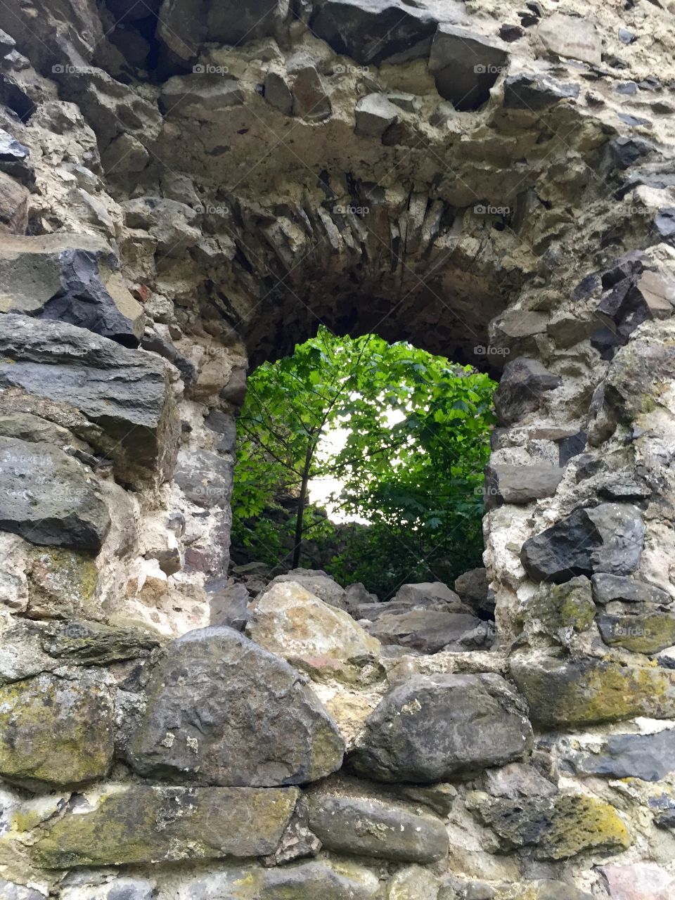 Through the window of history